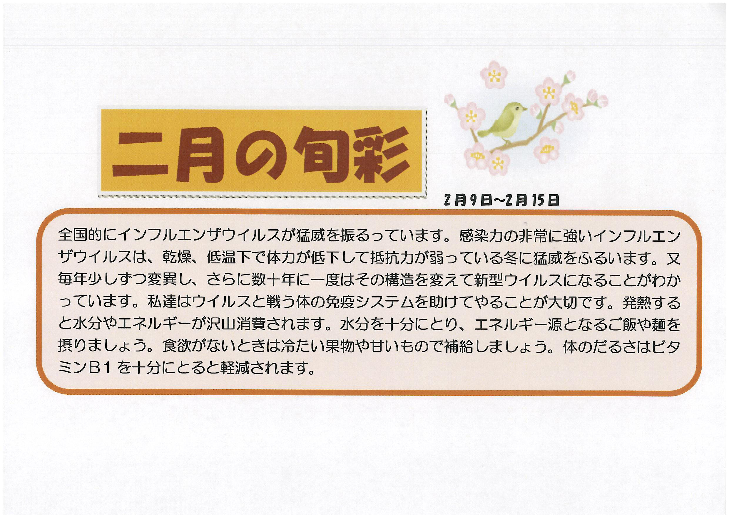 https://merry-house.jp/yachiyo/message/images/0209-0215%E3%81%AE%E6%97%AC%E5%BD%A9.jpg